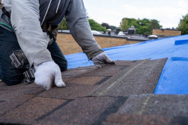 Best Roof Leak Repair  in Maryland City, MD