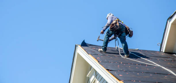 Best Roof Maintenance Services  in Maryland City, MD